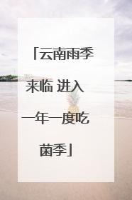 云南雨季来临 进入一年一度吃菌季